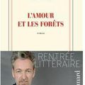 LIVRE : L'Amour et les Forêts d'Eric Reinhardt - 2014
