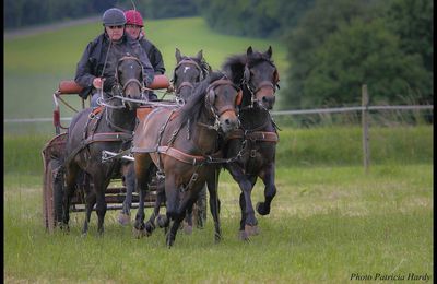 TREC EN ATTELAGE