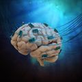 Un point sur les neurotechnologies, avant le saut dans le vide