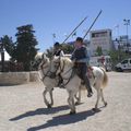 2008 PETITE ESCAPADE EN CAMARGUE