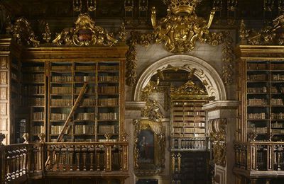 L'art en palabres : le tour du monde des plus belles bibliothèques …