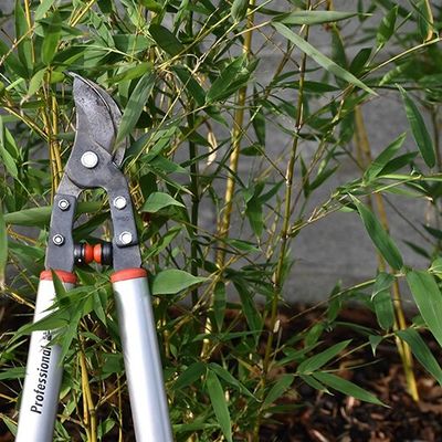 Test : l'ébrancheur Bahco
