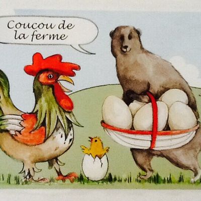 Coucou de la ferme