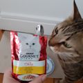 Test produit : Aliments pour chat "Gourmet" chez PURINA 3/3 : sachet mon Petit