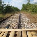 Le bamboo train de Battambang