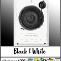DT 52 RSC - Challenge S 290 : "Black & White"