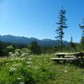 Randonnée accompagnée - Balcons Est du Vercors (Réserve des Hauts Plateaux) - Pas de Serre Brion - Pas Etoupe