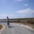 Marais salant à l' Ile de Ré