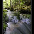 Torrent du Brudour