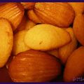 Madeleines au Citron