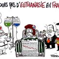 Toujours pas d'euthanasie en France - par Fabb - 13 janvier 2015