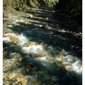 Canada # 15-12 : Johnston Canyon