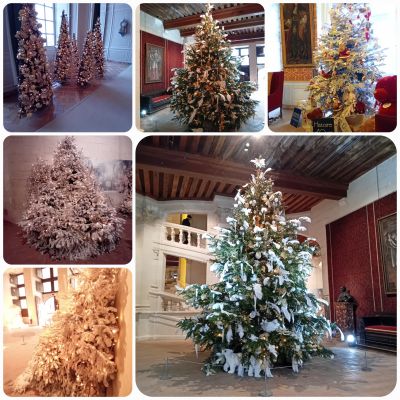 Un beau Noël 🎅 à Chambord 