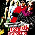 Les chats persans