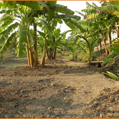 J'AIME ET J'INSISTE !!