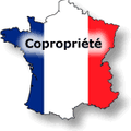 Les Primaires ? Inconstitutionnel ? (1)