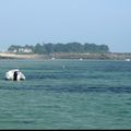 Ile de Batz (Finistère)