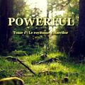 Powerful - tome 1 - Le royaume d'Harcilor