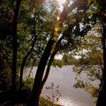 l'Etang de la Loy