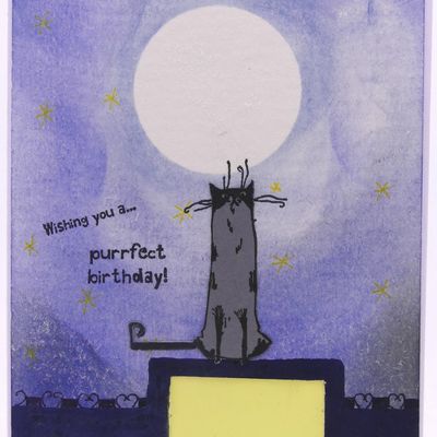 Le chat sur le toit