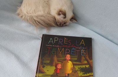 Après la tempête - Charlotte Moundlic et François Roca