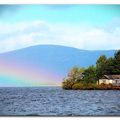 Back to Scotland (épisode 7)