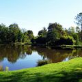 L'Etang de SAINTE FOY (40)....