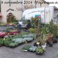 [Drôme] la foire aux arbres de Montvendre 2014