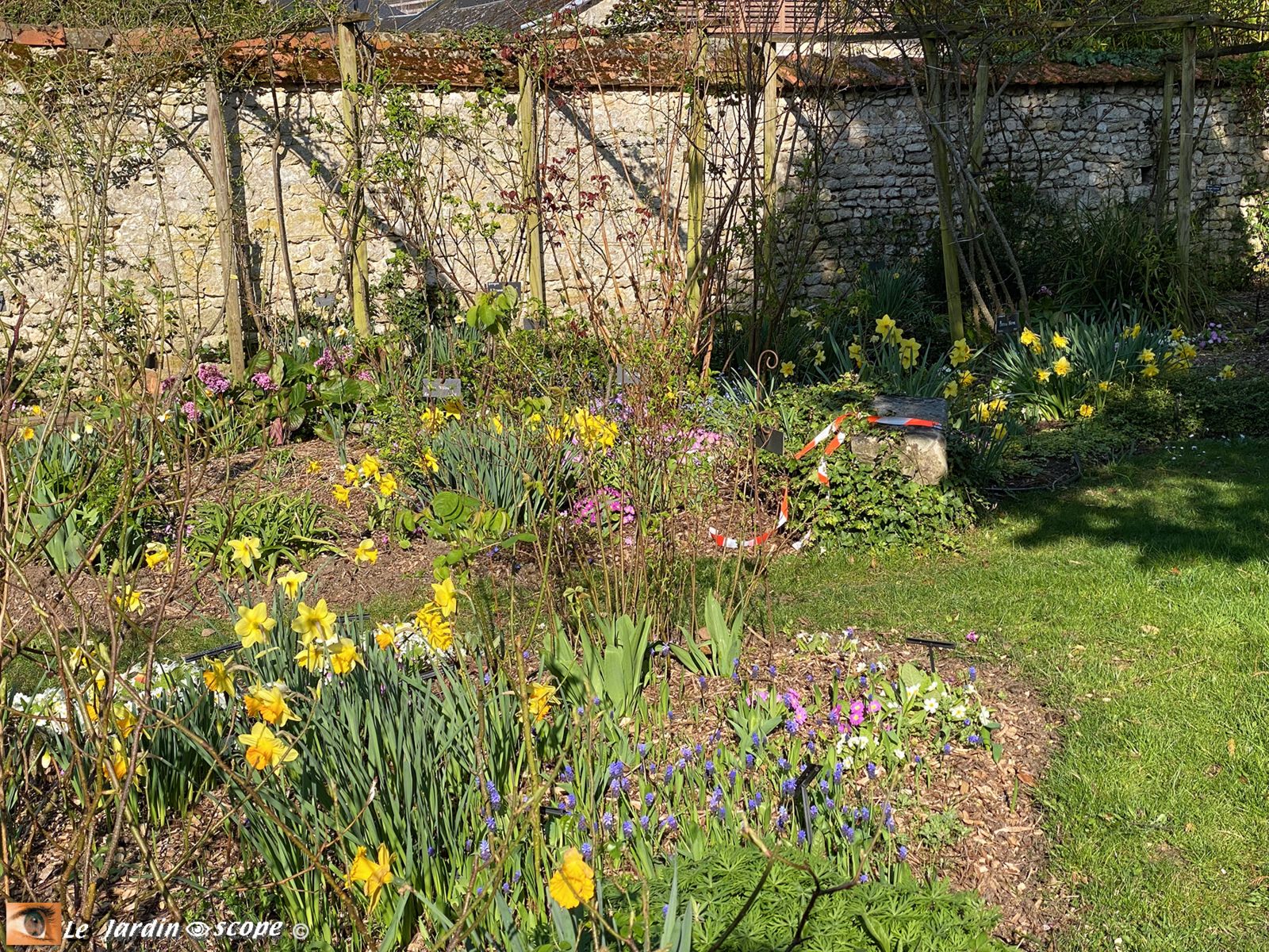 Jardin Personnel d'André Eve