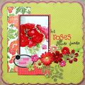 les roses du jardin