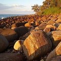 Noosa Heads