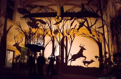 Fête des lumières 2019, quelques souvenirs