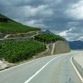 Martigny et ses vignes