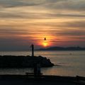 Au crépuscule près de Marseille entre chien et