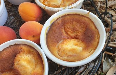 PETITES FLOGNARDES AUX ABRICOTS