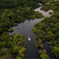 Déforestation de la forêt amazonienne, une catastrophe en marche pour la planète