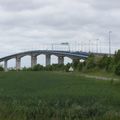 Sur la route de Marennes, des vaches un viaduc et des cigognes...