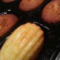 Délicieuses Madeleines au Citron