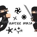 MAITRE NINJA tout noir