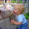 LE BISOU COCHON....