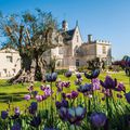 Les soirées Jeudi-Vin au Château !