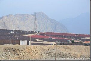 De Lima à Cusco, que le Pérou est grand !