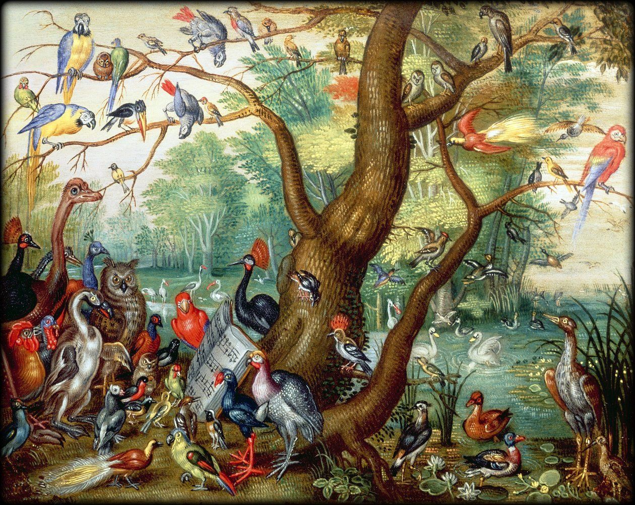 FRANCOISE ASCAL, LEGERETE, EXISTENCE, NATURE, OISEAUX, ENCHANTEMENT