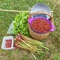 Je reviens du Jardin !