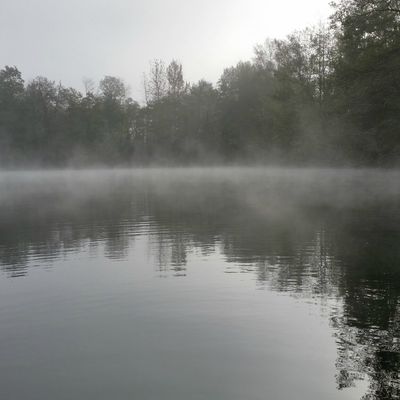 Float-tubeurs dans la brume