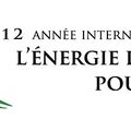 Après la forêt, l'année de l'énergie durable pour tous...