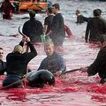 Les îles Féroé, terre d'abominations...