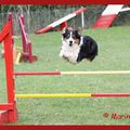 Concours Agility Corbas 20/10/2012