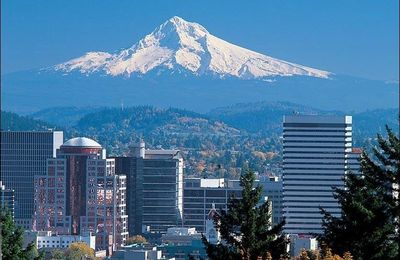 BUSINESS DIVERSITY IN THE STATE OF OREGON IN PORTLAND U.S.A. 