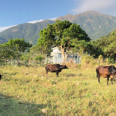 Countryside Hong Kong
